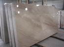 StoneSlab-263