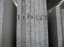 StoneSlab-299